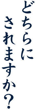 どちらにされますか？